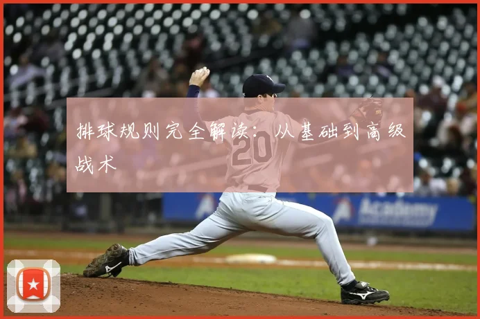 排球规则完全解读：从基础到高级战术