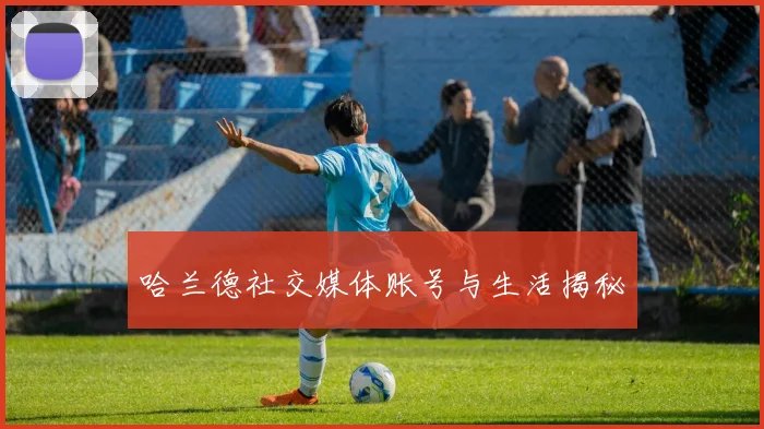 哈兰德社交媒体账号与生活揭秘