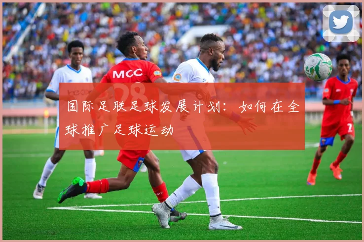国际足联足球发展计划：如何在全球推广足球运动
