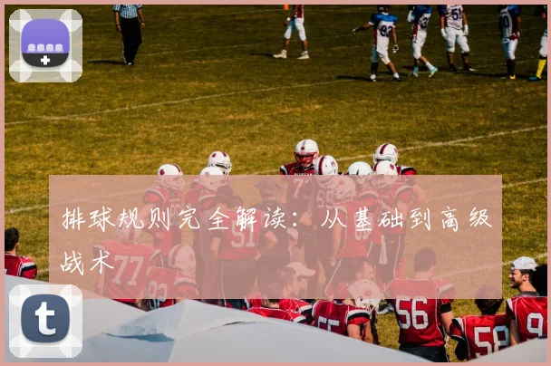排球规则完全解读:从基础到高级战术